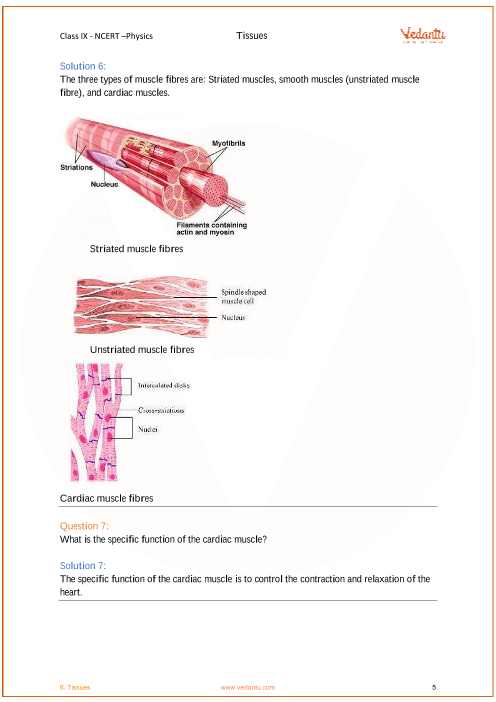 biology form 4 chapter 6 essay These ap biology outlines correspond to campbell's biology, 7th edition chapter 40 - basic principles of animal form and function chapter 41 - animal nutrition. biology form 4 chapter 6 essay These ap biology outlines correspond to campbell's biology, 7th edition chapter 40 - basic principles of animal form and function chapter 41 - animal nutrition.