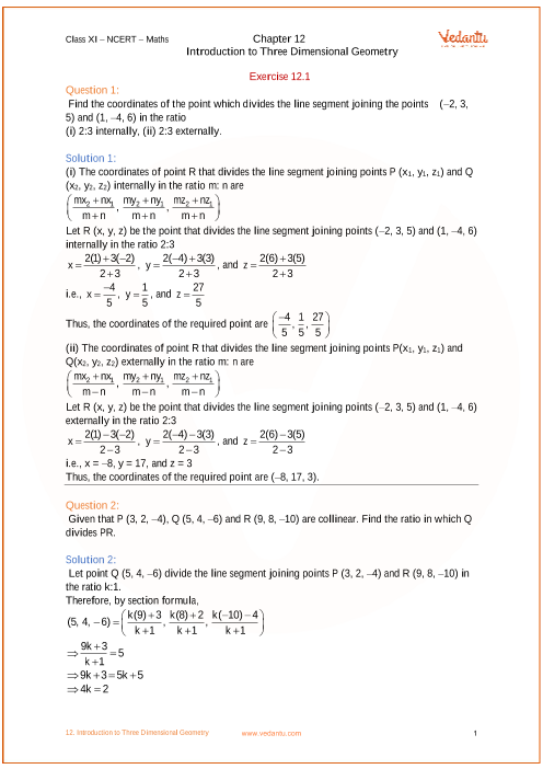 about experience essay on mango street